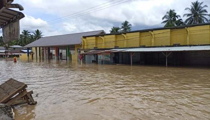 Fakta Menarik Aceh Tamiang yang Jarang Diketahui