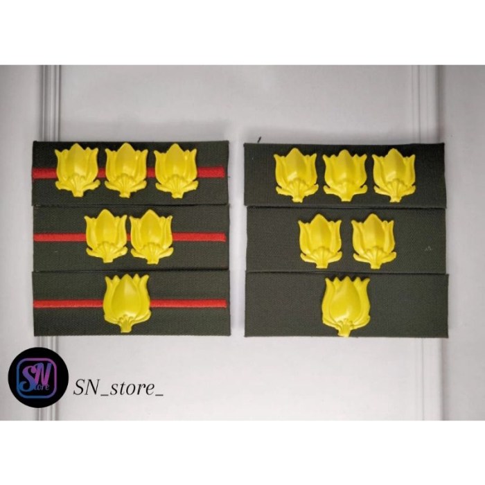 Selisih gaji mayor dan letkol TNI AD beserta rinciannya