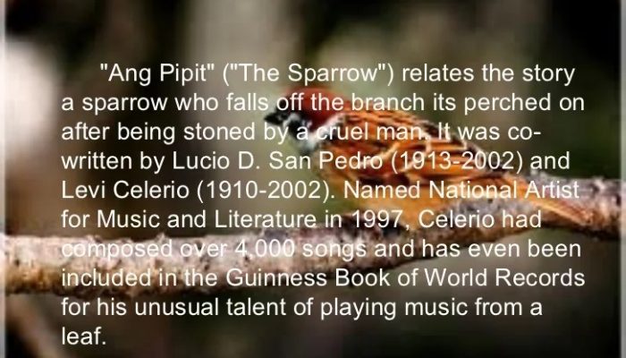 Lirik dan Arti Lagu Daerah Aceh yang Populer