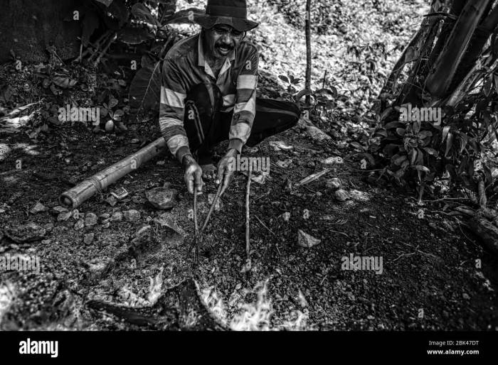 Ketidakadilan hukum dalam kasus pertambangan ilegal dan dampaknya pada lingkungan