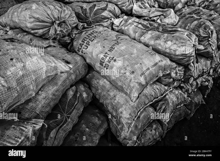 Ketidakadilan hukum dalam kasus pertambangan ilegal dan dampaknya pada lingkungan