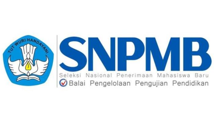 Mengakses Pengumuman SNBP 2025 Saat Website Penuh