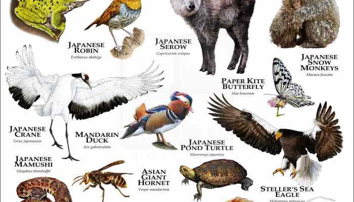 Ancaman Kebakaran Hutan Jepang pada Satwa Liar