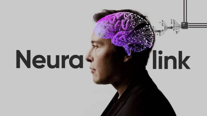 Hubungan Elon Musk dan eksekutif Neuralink: fakta-fakta yang terungkap.