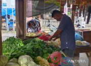 Harga Komoditas Pertanian Aceh dan Dampaknya pada Petani