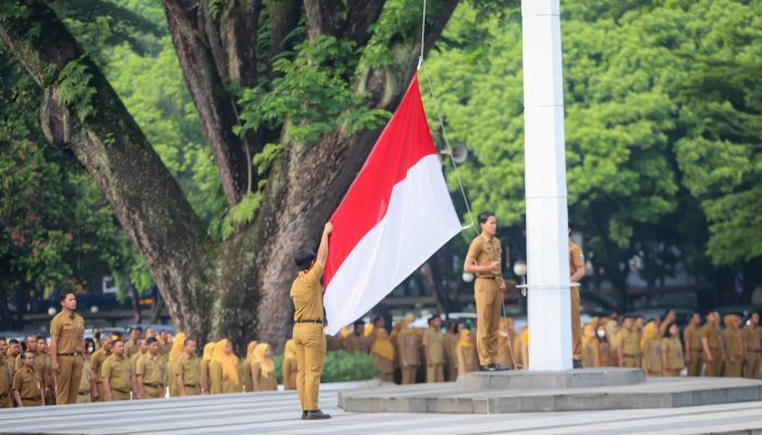 Formasi Khusus Honorer Kesehatan Jadi ASN 2024?