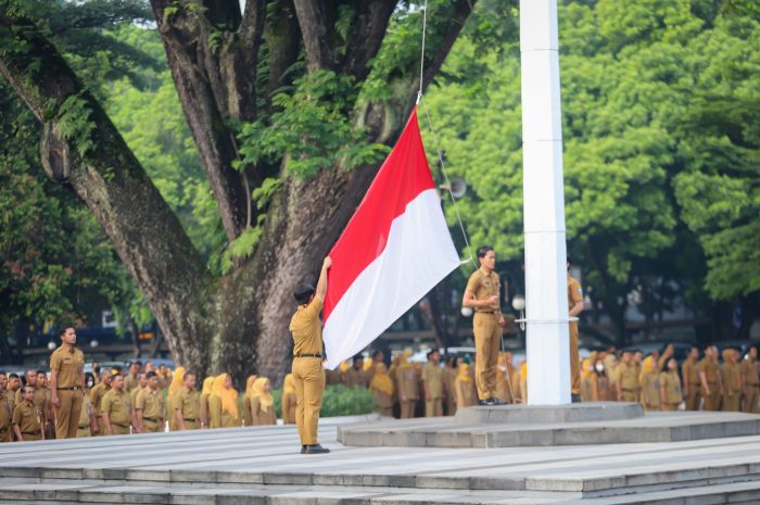 Apakah ada formasi khusus untuk tenaga honorer kesehatan dalam pengangkatan ASN 2024?