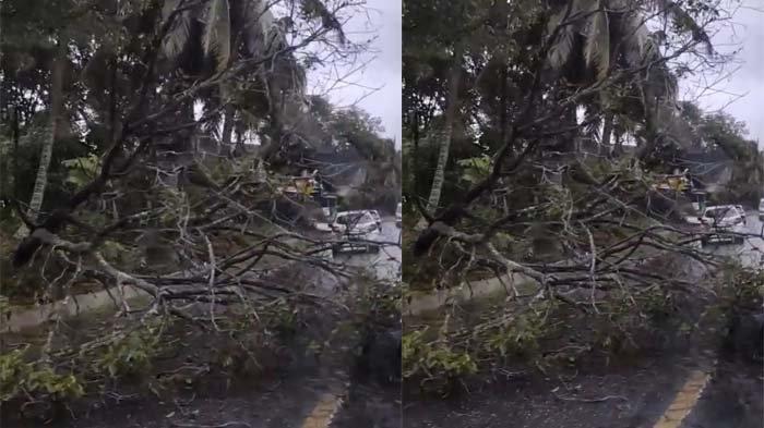 Ramalan cuaca Banda Aceh 7 Maret 2025 untuk aktivitas luar ruangan