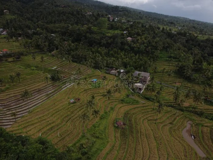 Ulasan Demul tentang keindahan alam tempat wisata Puncak dan Jaswita