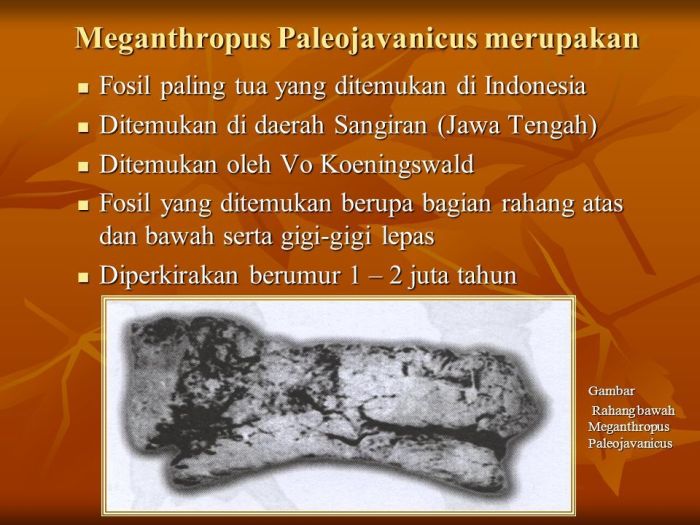 Makna penemuan Meganthropus Paleojavanicus bagi sejarah Indonesia