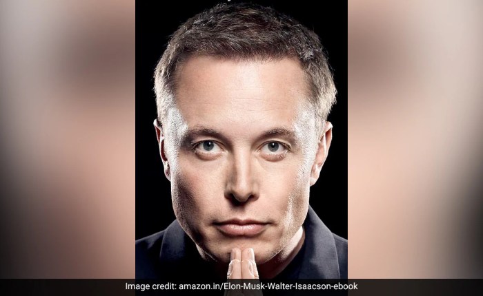 Apakah ada kontroversi terkait anak-anak Elon Musk dan ibu mereka?