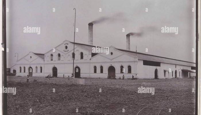 Tujuan Utama Penjajahan Eropa di Indonesia Rempah-rempah atau Lainnya?