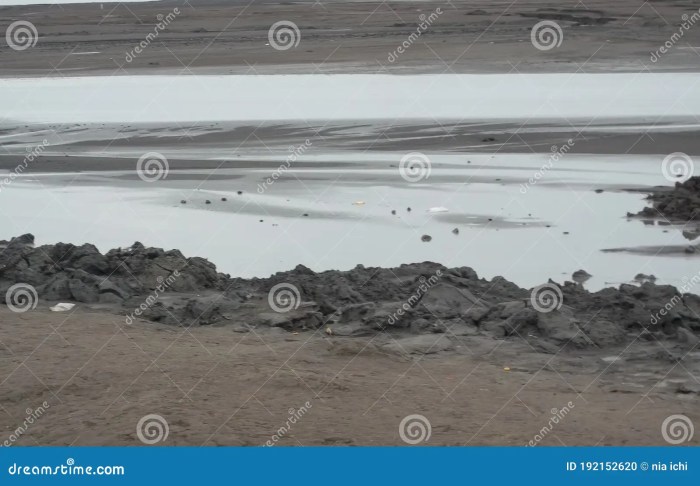 Penyebab semburan lumpur Lapindo masih berlanjut
