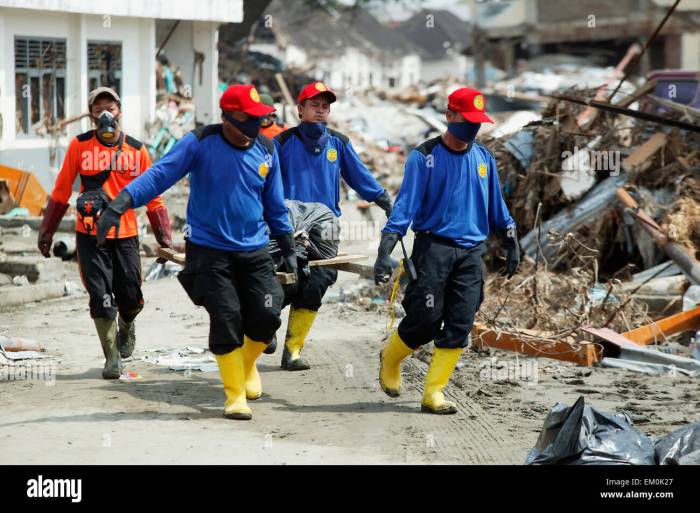 Dampak tsunami Aceh 2004 dan upaya rekonstruksi pasca bencana