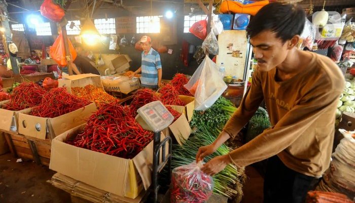 Merosotnya Harga Cabai, Merusak Nasib Petani Maret 2025