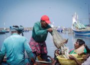 Alternatif Solusi Kendala Nelayan SKPT Sabang