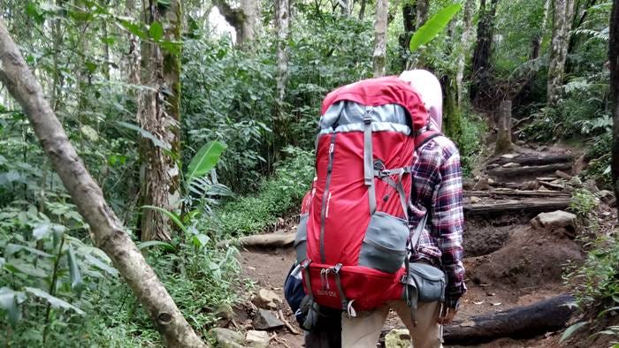 Status pendakian gunung gede saat ini