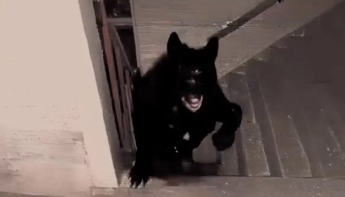 Twitch Bereaksi Keras Terhadap Tindakan Kanye West