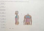 Perbedaan Detail Pakaian Adat Aceh Laki-Perempuan