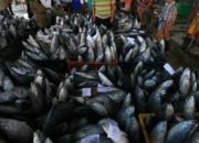 Peran Pemerintah Memberdayakan Nelayan Sabang untuk SKPT