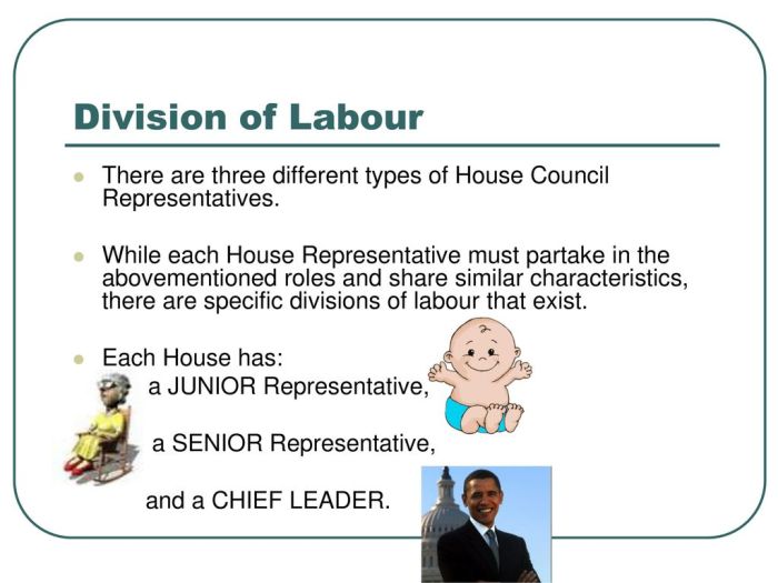 Fungsi dan tugas dewan perwakilan rakyat