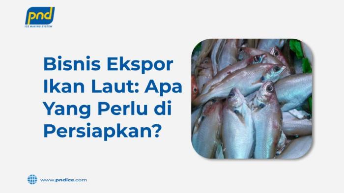 Dampak impor kain sutra amerika terhadap ikan laut indonesia