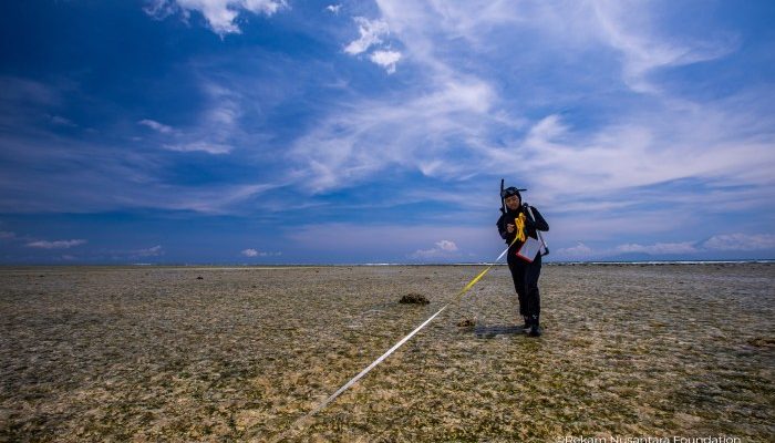 Permasalahan Perikanan dan Kelautan Aceh di Bahas Komisi IV DPR