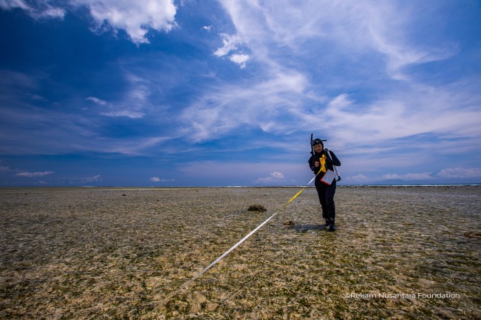 Permasalahan perikanan dan kelautan yang dibahas komisi iv dpr di aceh