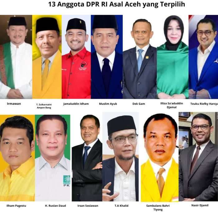 Pertemuan komisi iv dpr dengan stakeholder di aceh