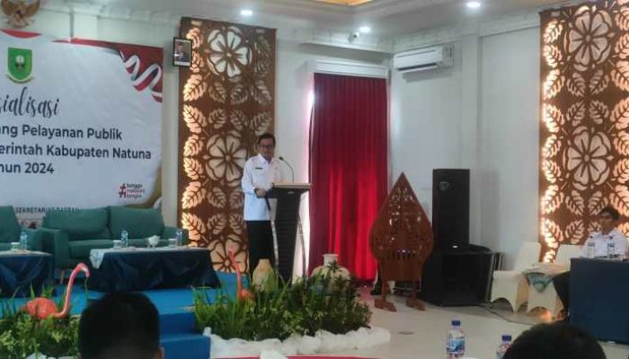 Informasi Lowongan Casn Di Pemkab Natuna 2024 Dan Detail Posisi Yang Tersedia