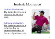 Memahami Motivasi Intrinsik Definisi dan Penerapannya dalam Psikologi