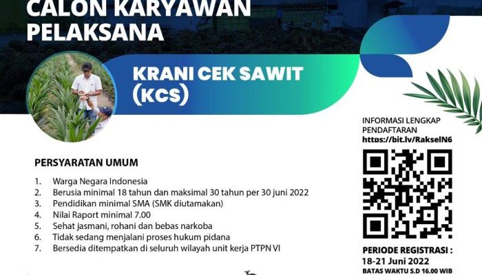 Bagaimana Menemukan Lowongan Bumn Yang Sesuai Dengan Keahlian