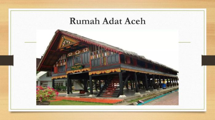 Mengenal rumah adat aceh tipe tradisional dan fungsinya