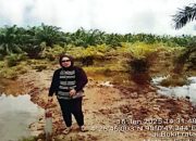Tanahnya Diserobot oleh PTPN IV Regional 6, Ibu Supriati Minta Pendampingan LSM Gadjah Puteh