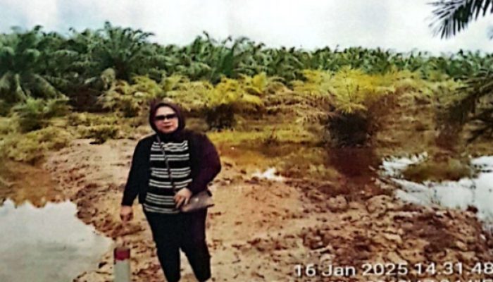 Tanahnya Diserobot oleh PTPN IV Regional 6, Ibu Supriati Minta Pendampingan LSM Gadjah Puteh