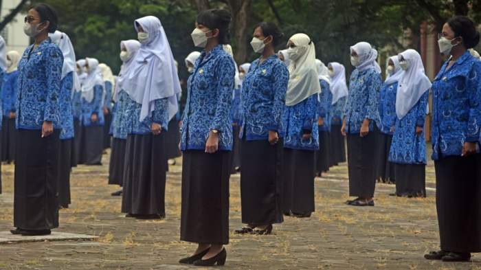 Instansi pusat cpns 2024 pelamar sedikit peluang 2025