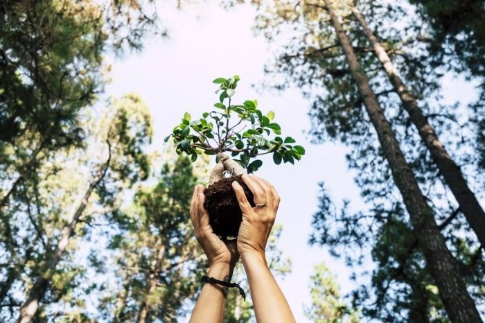 Standar pengelolaan TWA saat libur lebaran menurut menhut