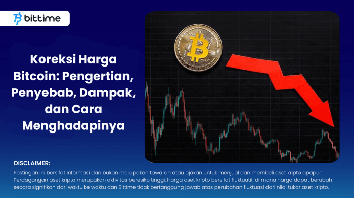 Dampak perubahan harga bitcoin terhadap ekonomi indonesia