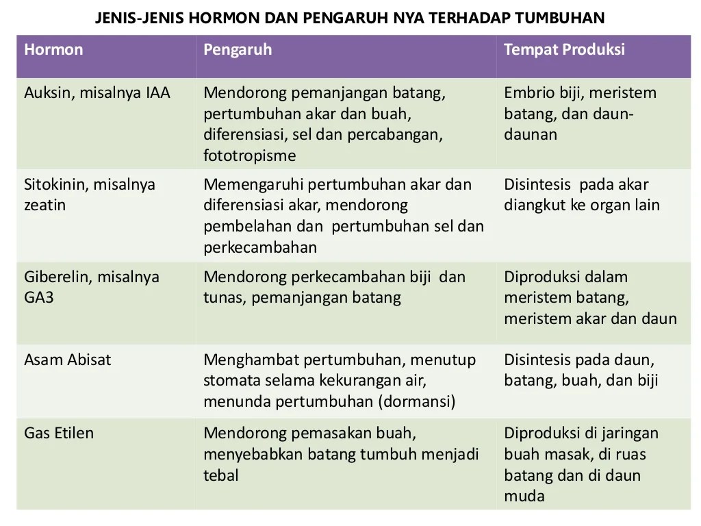 Faktor-faktor eksternal yang memengaruhi pergerakan saham sebelum perdagangan