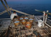 Teknologi Bangkitkan Ekonomi Nelayan Sabang di Era SKPT