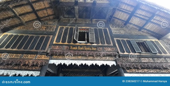 Karakteristik dan contoh rumah adat aceh beserta fungsinya