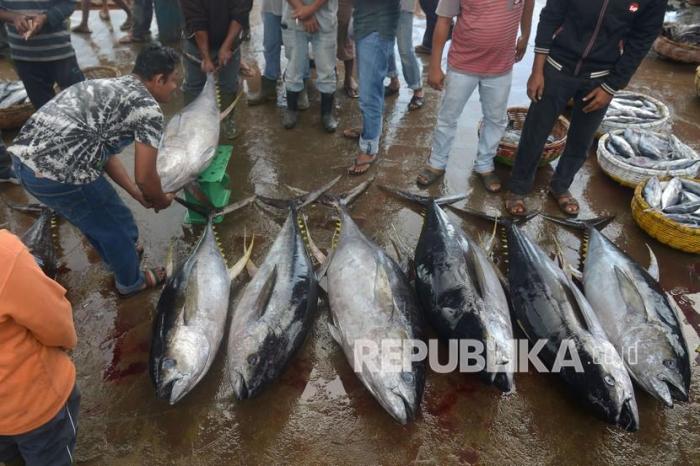 Dampak impor kain sutra amerika terhadap ikan laut indonesia