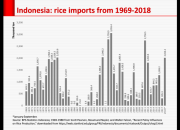 Pengaruh Tarif Impor Terhadap Daya Saing Produk Indonesia