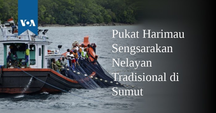 Berita Harian Harimau sumatera Terbaru dan Terlengkap