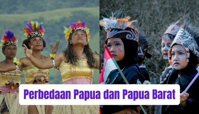 Perbedaan Pendapat Publik soal Kunjungan Prevost ke Papua