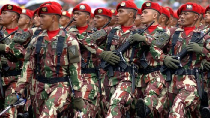 Perbedaan gaji perwira dan tamtama TNI 2025 dan faktor yang mempengaruhinya