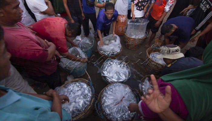 Dampak Ekonomi Penangkapan Ikan Ilegal bagi Nelayan Lokal Sumatera Barat