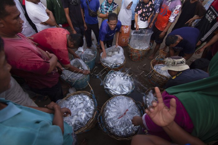 Dampak ekonomi penangkapan ikan ilegal bagi nelayan lokal sumbar