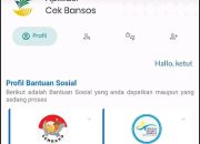 Kejelasan NIK Penerima Bansos BPNT April-Juni 2025