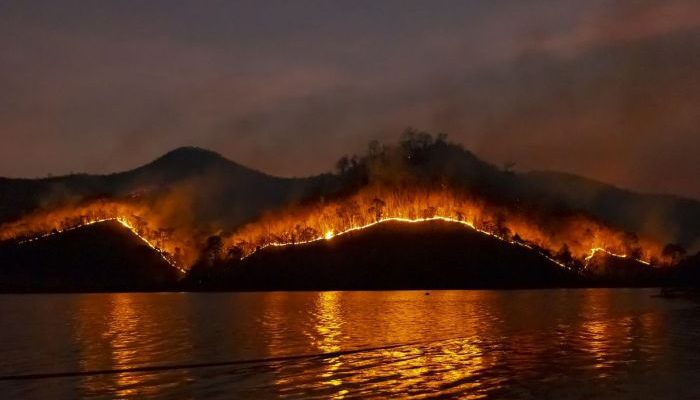 Perbandingan Kebakaran Hutan Israel vs Tahun-Tahun Sebelumnya